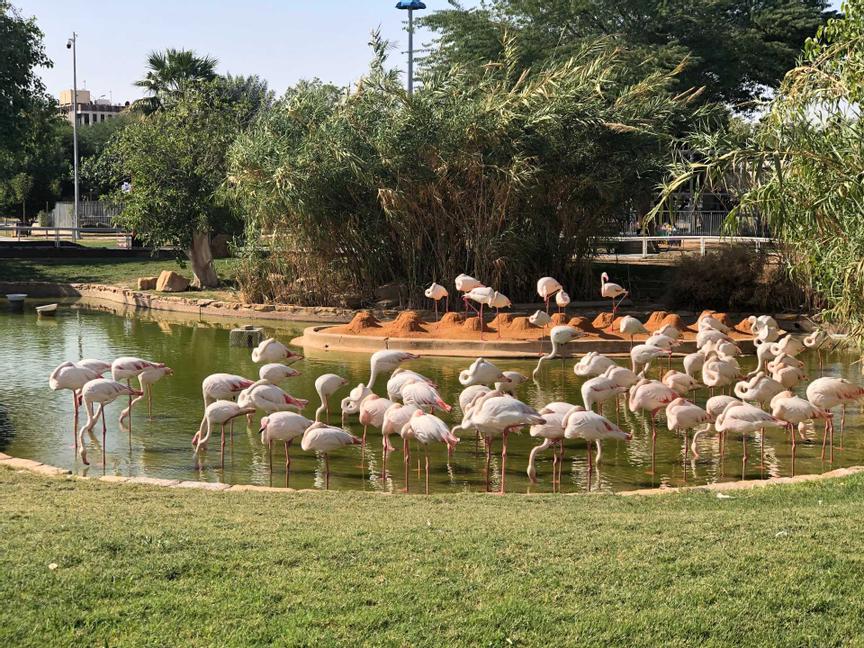 Cristal Group | Abu Dhabi | 5